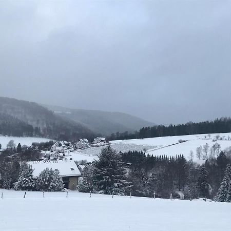 Appartement Familie Willems Winterberg 2 Eksteriør billede
