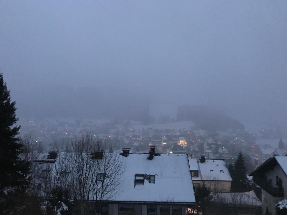 Appartement Familie Willems Winterberg 2 Eksteriør billede