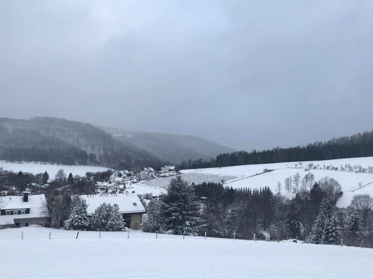 Appartement Familie Willems Winterberg 2 Eksteriør billede