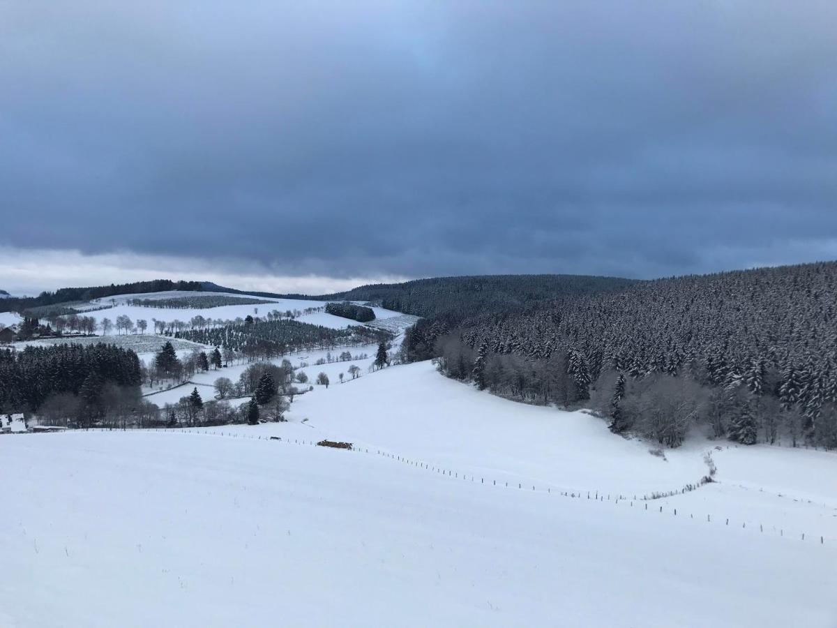 Appartement Familie Willems Winterberg 2 Eksteriør billede
